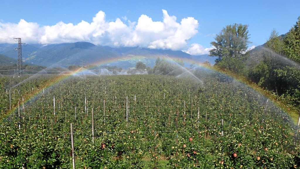 2011-08-01 09.41.44.jpg